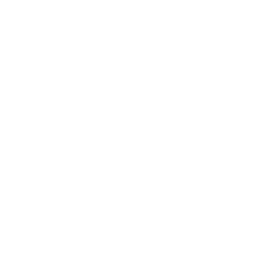Approved Protocols Icon